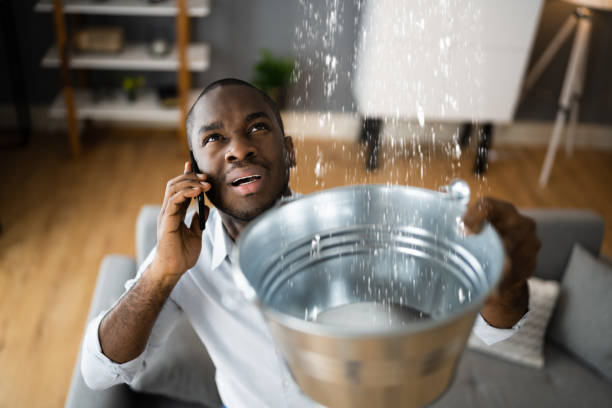 Best Water damage restoration services  in Rshfield Hills, MA