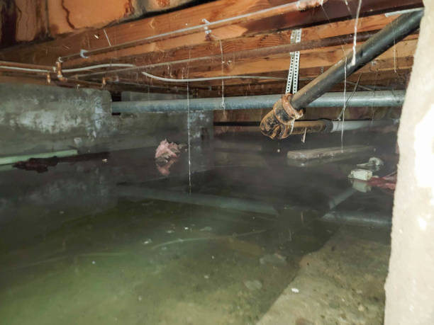 Best Water damage contractors near me  in Rshfield Hills, MA