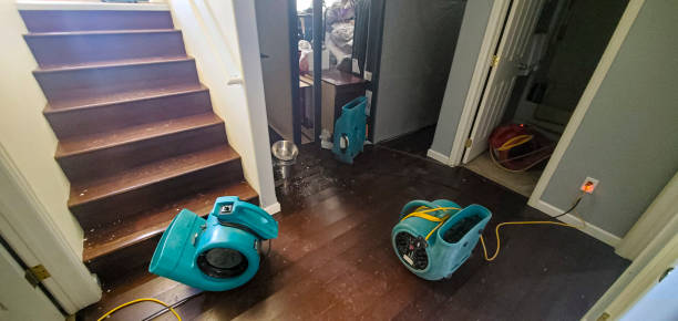 Best Water damage restoration near me  in Rshfield Hills, MA