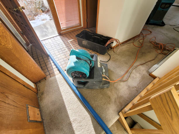 Best Mold removal after water damage  in Rshfield Hills, MA