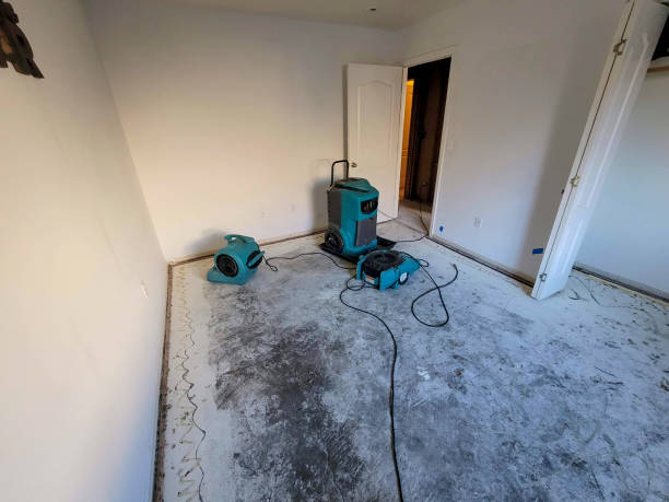 Best Carpet water damage restoration  in Rshfield Hills, MA