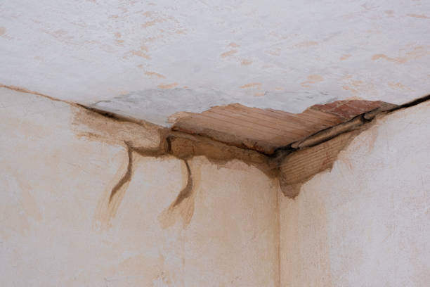 Best Mold removal after water damage  in Rshfield Hills, MA