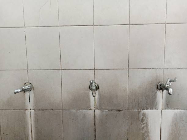 Best Basement water damage restoration  in Rshfield Hills, MA