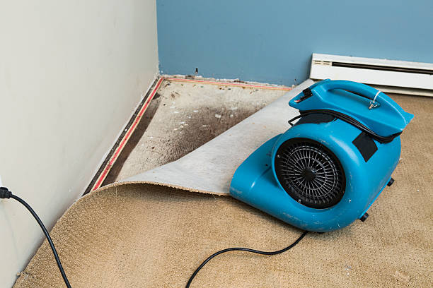 Best Water damage repair service  in Rshfield Hills, MA